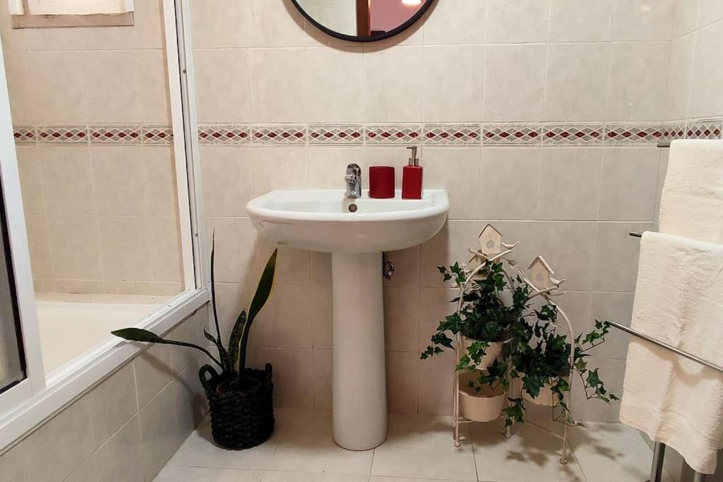Jardim Sol Holiday Apartment Funchal  Eksteriør billede